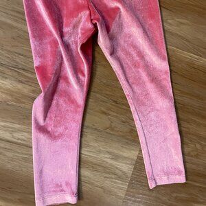 falls creek velvet pants